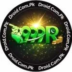 999R Game Logo Feature