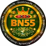 BN55 Game Logo Official