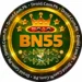 Official BN55 Game App Logo