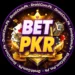 BetPKR Official App Logo