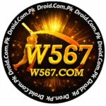 W567 Game Official Icon