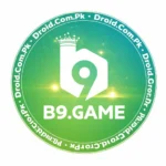 B9 Game Official Logo View