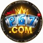 P67 Game