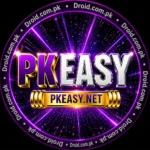 PKEasy Game