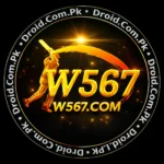W567 Game logo