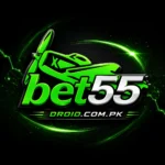 Bet55 Game logo