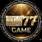 HM77 Game Logo