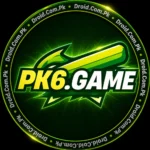 PK6 game Logo