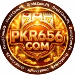 PK656 Game