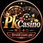 PakCasino Game logo