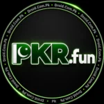 PkrFun game Logo