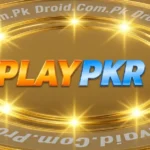 PlayPkr Game Logo